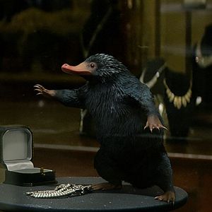 Foto Animales fantásticos y dónde encontrarlos