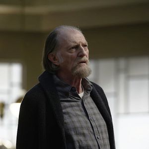 Foto David Bradley (IV)