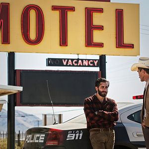 Foto Animales nocturnos