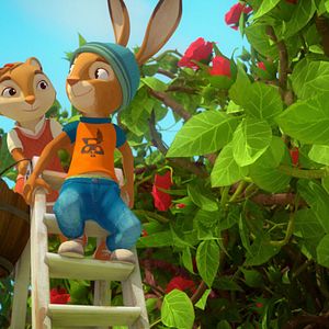 Foto Academia De Conejos