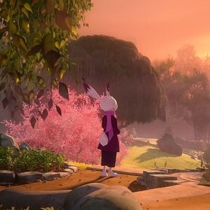 Foto Academia De Conejos