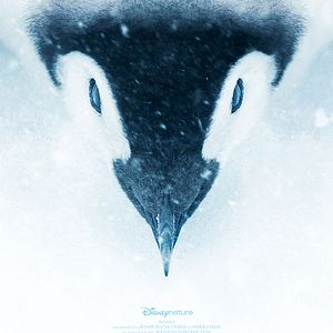 Foto La marcha de los pingüinos 2