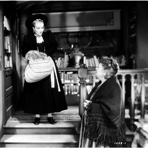 Foto Marlene Dietrich