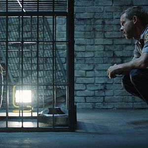 Foto Animal de compañía