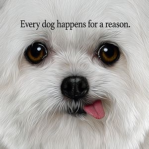 Foto La razón de estar contigo