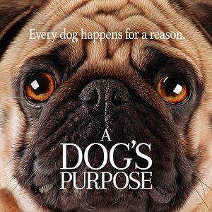 Foto La razón de estar contigo