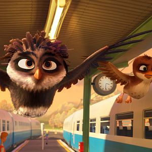 Foto Una cigüeña en apuros