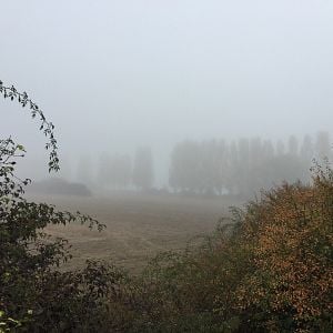 Foto Yo, Claude Monet