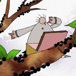 Foto Historia antes de una historia