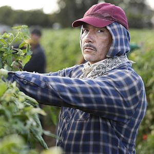 Foto Benito Martinez