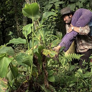 Foto La mujer del animal