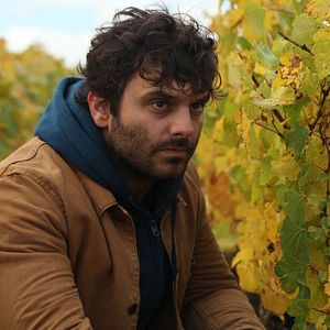 Foto El viñedo que nos une