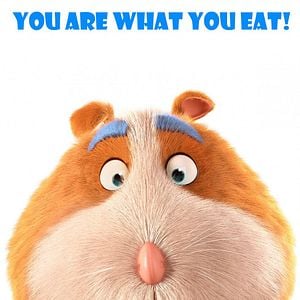 Foto Galletas de animalitos