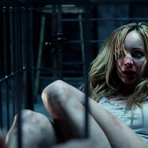 Foto Animal de compañía