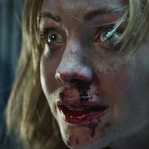 Foto Animal de compañía