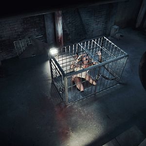 Foto Animal de compañía