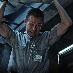 Foto Animal de compañía