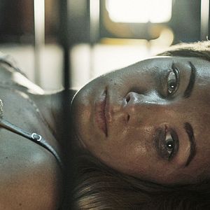 Foto Animal de compañía