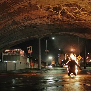 Foto Animal de compañía