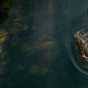 Foto En la Vía Láctea