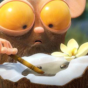 Foto Una jungla de locura