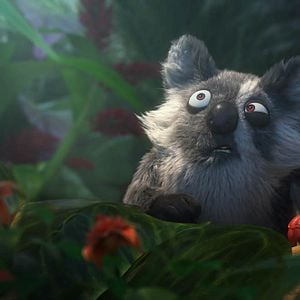 Foto Una jungla de locura