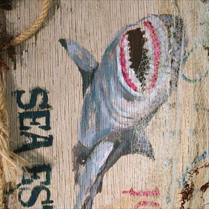 Foto Terror a 47 metros