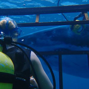 Foto Terror a 47 metros