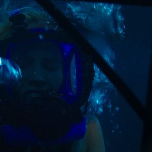 Foto Terror a 47 metros