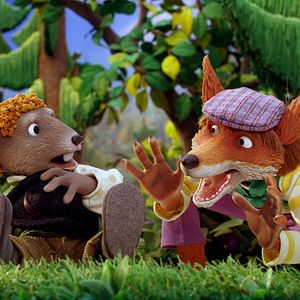 Foto El bosque de Haquivaqui