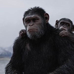 Foto El planeta de los simios: La guerra