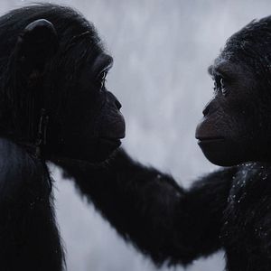 Foto El planeta de los simios: La guerra