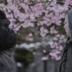 Foto El planeta de los simios: La guerra