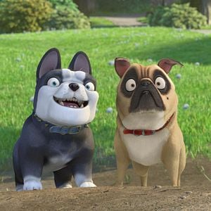 Foto Locos por las nueces 2