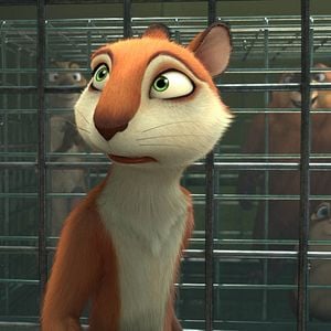 Foto Locos por las nueces 2