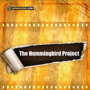Foto The Hummingbird Project