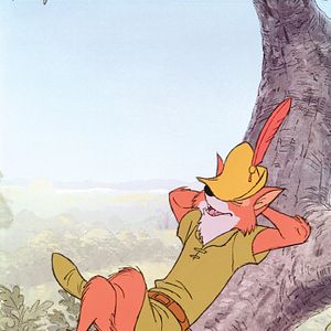 Foto Robin Hood