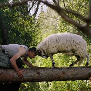 Foto En la Vía Láctea