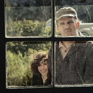 Foto Maudie: El color de la vida