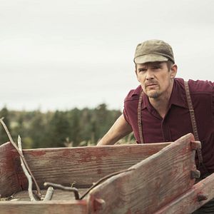 Foto Maudie: El color de la vida