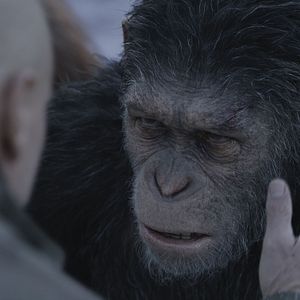 Foto El planeta de los simios: La guerra