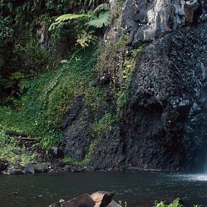 Foto Gauguin, viaje a Tahití