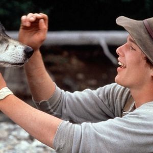 Foto Colmillo Blanco