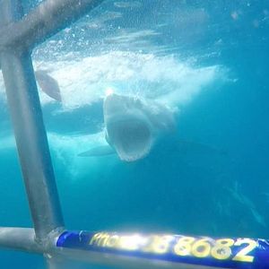 Foto Terror profundo