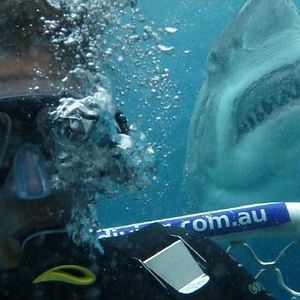 Foto Terror profundo