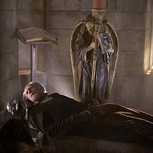 Foto David Bradley (IV)