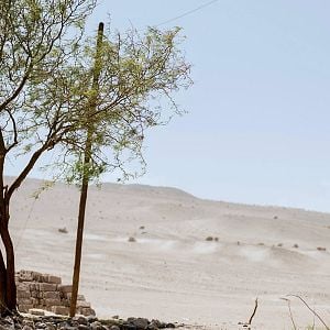 Foto Una Especie de Familia