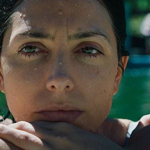 Foto Una Especie de Familia