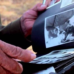 Foto La danza del hipocampo