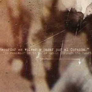 Foto La danza del hipocampo